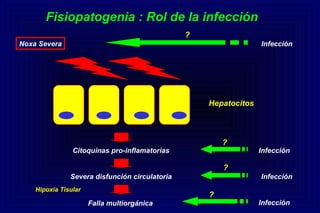 Hepatocitos
Citoquinas pro-inflamatorias
Noxa Severa
Severa disfunción circulatoria
Falla multiorgánica
Hipoxia Tisular
Infección
Infección
Infección
Infección
Fisiopatogenia : Rol de la infección
?
?
?
?
 