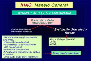 Unidad de cuidados
Intermedios / UCI
Evaluación etiológica
Tratamiento específico
Evaluación Gravedad y
Riesgo
•IHA del embarazo (interrupción
embarazo)
•Wilson (D-penicilamina)
•Paracetamol (N-acetilcisteina)
•VHB (antivirales)
•Autoimune (corticoides)
•A.Phalloides (penicilina G, carbón
activado)
•Virus VHS, VEB, CMV (aciclovir)
Trasplante hepático
ictericia + AP < 50 % ± encefalopatía
King´s College Hospital
Clichy
MELD
IHAG. Manejo General
 