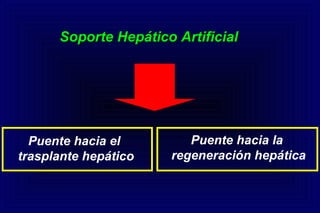 Soporte Hepático ArtificialSoporte Hepático Artificial
Puente hacia la
regeneración hepática
Puente hacia el
trasplante hepático
 