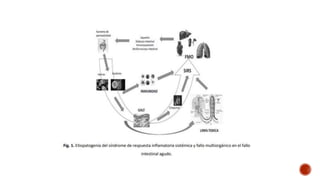Fall Intestinal FALLA INTESTINAL e INTESTINO CORTO.pptx