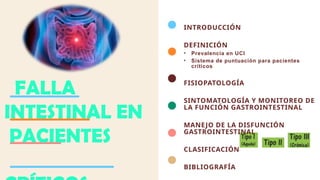 Fall Intestinal falla intestinal en pacientes criticos.pptx