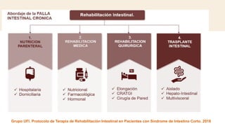 Fall Intestinal falla intestinal en pacientes criticos.pptx