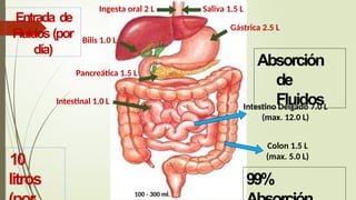 Fall Intestinal FALLA INTESTINAL EXPOSICION 2024 HOSPITAL PERU | PPTX