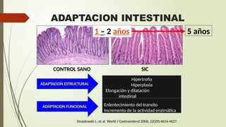 Fall Intestinal FALLA INTESTINAL EXPOSICION 2024 HOSPITAL PERU | PPTX