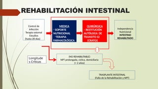 Fall Intestinal FALLA INTESTINAL EXPOSICION 2024 HOSPITAL PERU | PPTX