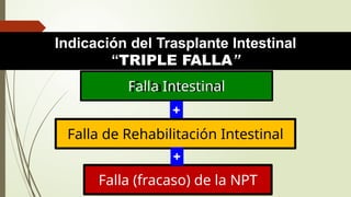Fall Intestinal FALLA INTESTINAL EXPOSICION 2024 HOSPITAL PERU | PPTX