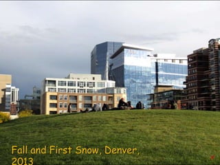 Fall and First Snow, Denver,

 