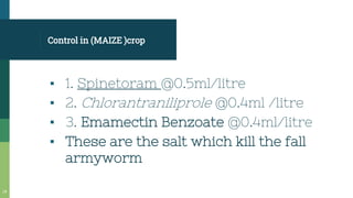 Control in (MAIZE )crop
▪ 1. Spinetoram @0.5ml/litre
▪ 2. Chlorantraniliprole @0.4ml /litre
▪ 3. Emamectin Benzoate @0.4ml/litre
▪ These are the salt which kill the fall
armyworm
14
 