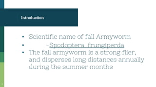 Introduction
▪ Scientific name of fall Armyworm
▪ -Spodoptera frungiperda
▪ The fall armyworm is a strong flier,
and disperses long distances annually
during the summer months
3
 