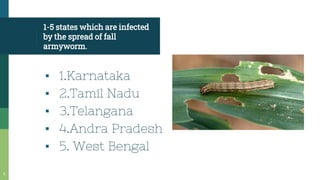 1-5 states which are infected
by the spread of fall
armyworm.
▪ 1.Karnataka
▪ 2.Tamil Nadu
▪ 3.Telangana
▪ 4.Andra Pradesh
▪ 5. West Bengal
5
 