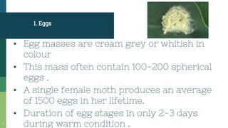 1. Eggs
▪ Egg masses are cream grey or whitish in
colour
▪ This mass often contain 100-200 spherical
eggs .
▪ A single female moth produces an average
of 1500 eggs in her lifetime.
▪ Duration of egg stages in only 2-3 days
during warm condition .
7
 