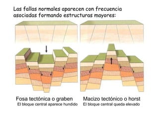 Las fallas normales aparecen con frecuencia asociadas formando estructuras mayores: El bloque central aparece hundido  El bloque central queda elevado Fosa tectónica o graben  Macizo tectónico o horst 