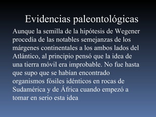 Evidencias paleontológicas Aunque la semilla de la hipótesis de Wegener procedía de las notables semejanzas de los márgenes continentales a los ambos lados del Atlántico, al principio pensó que la idea de una tierra móvil era improbable. No fue hasta que supo que se habían encontrado organismos fósiles idénticos en rocas de Sudamérica y de África cuando empezó a tomar en serio esta idea 
