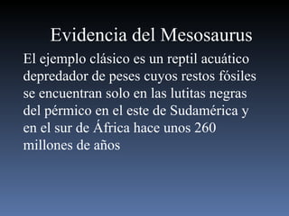 Evidencia del Mesosaurus El ejemplo clásico es un reptil acuático depredador de peses cuyos restos fósiles se encuentran solo en las lutitas negras del pérmico en el este de Sudamérica y en el sur de África hace unos 260 millones de años 