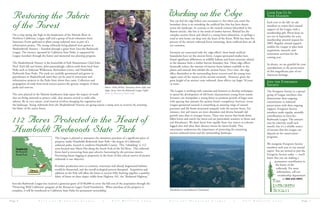 S a v e - t h e - R e d w o o d s L e a g u e | F a l l B u l l e t i n     Page S a v e - t h e - R e d w o o d s L e a g u e | F a l l B u l l e t i n    Page 
You can feel the edge before you encounter it, but when you reach the
boundary there is no mistaking the artificial line that has been drawn
across the landscape. In contrast to the natural ecotones (described in the
Butano article), this line is the result of timber harvest. Behind lies the
complex ancient forest and ahead is a young forest plantation, or perhaps a
road or new home cut deep into the heart of the forest. With less than five
percent of the ancient redwood forest remaining, these artificial lines are all
too common.
Scientists are concerned with the ‘edge effects’ these harsh artificial
boundaries have on the ancient forest. League-sponsored studies have
found significant differences in wildlife habitat and forest structure related
to the distance from a timber harvest boundary line. These edge effects
drastically reduce the amount of interior forest habitat available to the
plants and animals that inhabit the ancient forest. Over time, the edge
effect diminishes as the surrounding forest recovers and the young trees
regain some of the stature of the ancient sentinels. However, given the
great height of an ancient coast redwood, these effects can linger 50 years
or more.
The League is working with scientists and foresters to develop techniques
to speed the development of old forest characteristics young forest stands.
Foresters can manipulate a young forest to promote growth of larger trees
with spacing that imitates the ancient forest’s complexity; however, recent
League-sponsored research is unearthing an amazing range of natural
processes and life forms associated uniquely with the ancient forest. For
instance, tiny soil insects are more abundant and diverse beneath old
growth trees than in younger forests. These tiny insects that break down
fallen leaves and enrich the forest soil are particularly sensitive to forest and
soil disturbance. We don’t know how rapidly these tiny insects re-colonize
logged sites and what their absence means for forest health. This
uncertainty underscores the importance of protecting the remaining
ancient redwood forest and the surrounding landscape.
Working on the Edge
The League is pleased to announce the imminent purchase of a significant piece of
property inside Humboldt Redwoods State Park—the largest of California’s
redwood parks, located in southern Humboldt County. This “inholding” is 112
acres located near Myers Flat along the South Fork of the Eel River. This redwood
forest land is recovering from past selective harvesting by the previous owners.
Preventing future logging in perpetuity in the heart of this critical reserve of ancient
redwoods is our objective.
If timber production were to continue, waterways and already fragmented habitats
would be threatened, and the overall ecological process disrupted. Acquisition and
addition to the Park will allow the forest to recover fully, knitting together a seamless
fabric of forest on these slopes visible from Highway 101, the “Redwood Highway.”
Save-the-Redwoods League has received a generous grant of $148,000 to cover the full cost of the acquisition through the
“Preserving Wild California” program of the Resources Legacy Fund Foundation. When purchase of the property is
complete, it will be transferred to California State Parks for permanent stewardship.
Restoring the Fabric
of the Forest
On a crisp spring day high in the headwaters of the Mattole River in
Northern California, League staff and a group of local volunteers from
Sanctuary Forest gathered to plant young redwood trees as part of a
reforestation project. The young redwoods being planted were grown at
Shadowbrook Nursery – founded through a grant from Save-the-Redwoods
League. The nursery, operated by California State Parks, is supported by
League members through the honor and memorial tree planting program.
The Shadowbrook Nursery is the brainchild of Park Maintenance Chief John
Neef. Each fall and winter, John painstakingly collects seeds from local State
Parks such as Sinkyone Wilderness, Richardson Grove, and Humboldt
Redwoods State Parks. The seeds are carefully germinated and grown in
greenhouses at Shadowbrook until they can be used in restoration and
reforestation projects in the Parks from where they came. Collection and
propagation of seeds from local sources protect the genetic integrity of these
parks and reserves.
The trees planted in the Mattole headwaters help repair the impact of roads
that are being removed to protect cold, clear streams critical to wild coho
salmon. By its very nature, road removal involves changing the vegetation and
the landscape. Young redwoods from the Shadowbrook Nursery are giving nature a jump start to recovery by restoring
the fabric of the native forest.
Above: Tasha McKee, Sanctuary Forest (left) and
Angie Avery, Save-the-Redwoods League (right)
Photo by Sanctuary Forest Staff
112 Acres Protected in the Heart of
Humboldt Redwoods State Park
Look For Us In
Your Mailbox
Each year in the fall, we ask
members to renew their annual
support of the League with a
membership gift. Please keep an
eye out in September for your
membership renewal request for
2005. Regular, annual support
enables the League to plan land
acquisition, research, and
restoration activities for the
coming year.
As always, we are grateful for your
contributions to the preservation
of this magnificent part of our
American heritage.
Join the Evergreen
Society
The Evergreen Society is a special
group of League members who
demonstrate their ongoing
commitment to redwood
preservation with their ongoing
support. Evergreen Society
members make regular, monthly
contributions to Save-the-
Redwoods League. The amount
may be relatively small each
month, but it’s a reliable source
of income that the League can
depend on for conservation
programs.
We recognize Evergreen Society
members each year in our annual
report. You are invited to join the
Evergreen Society today — you’ll
know that you are making a
permanent contribution to
the future of the
redwoods. For more
information, call our
membership department
at 888-836-0005.
Humboldt County Industrial Timberland
 