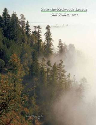 Save-the-Redwoods League
Fall Bulletin 2007
Sinkyone Wilderness State Park
Photo: Don Briggs
 