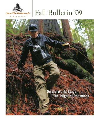 On the World Stage:
The Plight of Redwoods
Fall Bulletin ’09
 