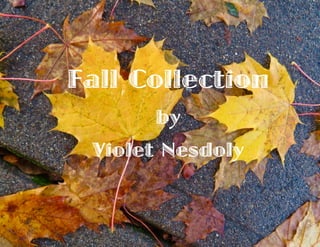 Fall Collection
by
Violet Nesdoly
 