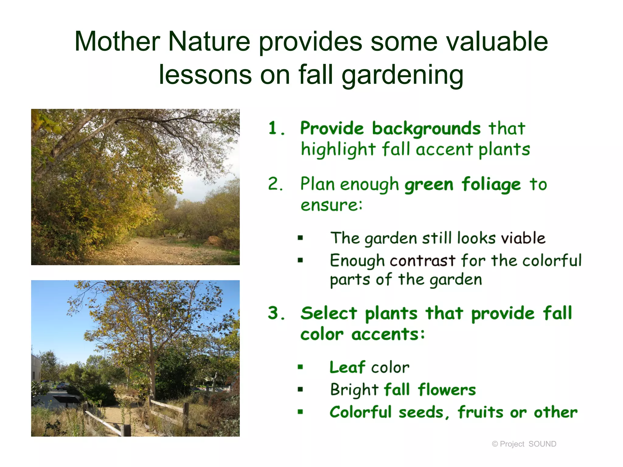 Mother Nature provides some valuable
lessons on fall gardening
© Project SOUND
 