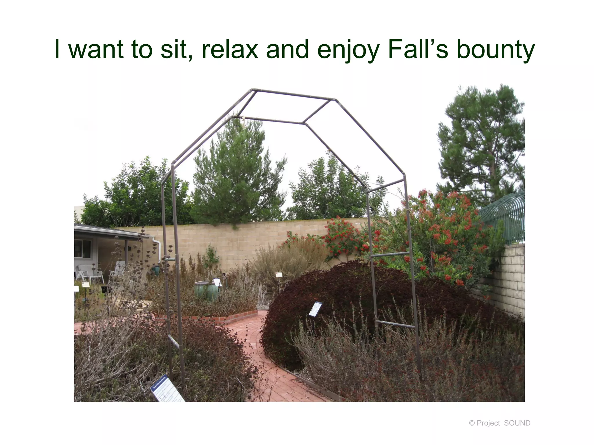 © Project SOUND
I want to sit, relax and enjoy Fall’s bounty
 