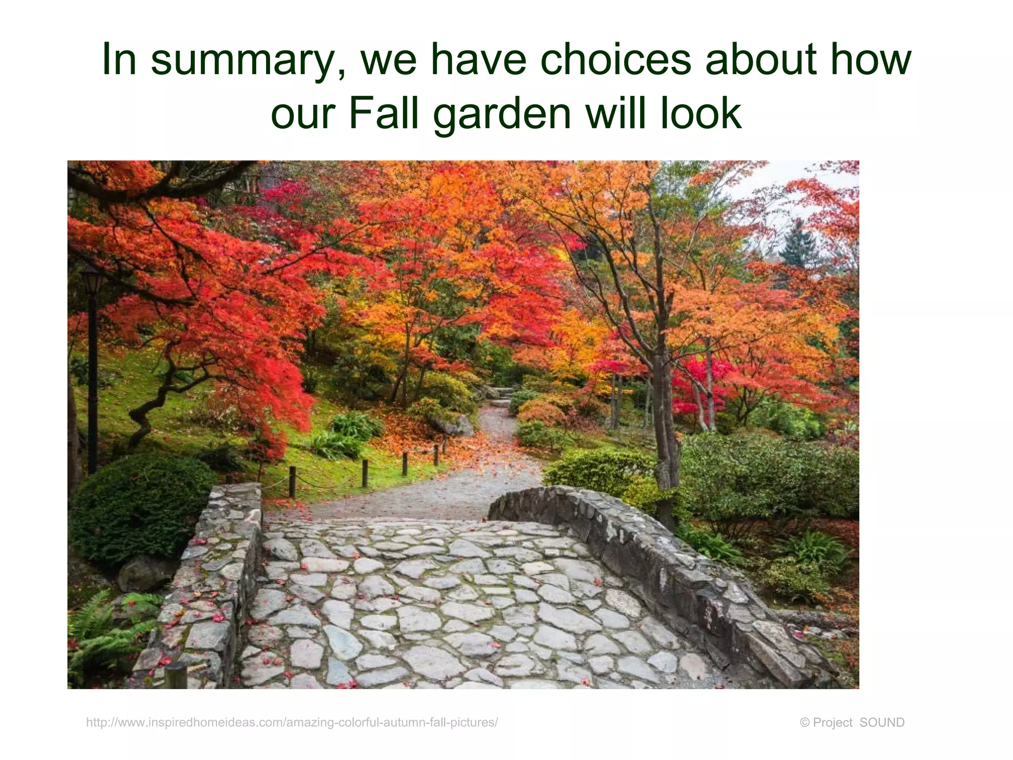 In summary, we have choices about how
our Fall garden will look
© Project SOUNDhttp://www.inspiredhomeideas.com/amazing-colorful-autumn-fall-pictures/
 