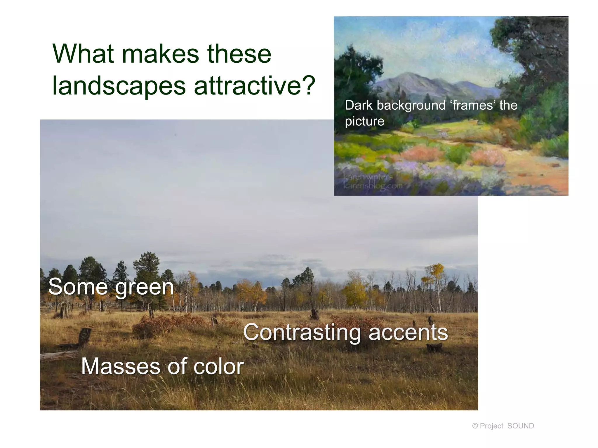 What makes these
landscapes attractive?
© Project SOUND
Some green
Contrasting accents
Masses of color
Dark background ‘frames’ the
picture
 