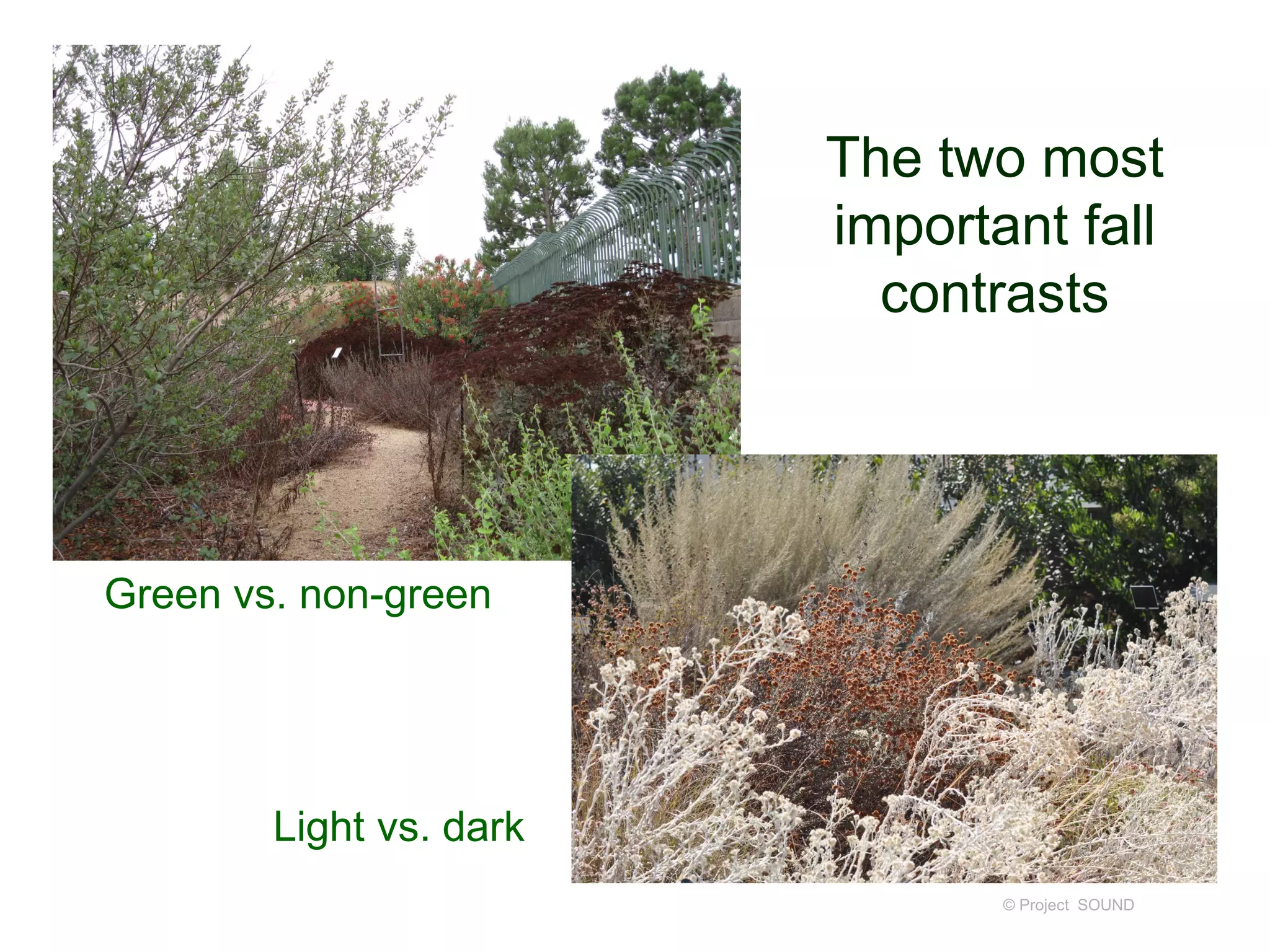 The two most
important fall
contrasts
© Project SOUND
Green vs. non-green
Light vs. dark
 