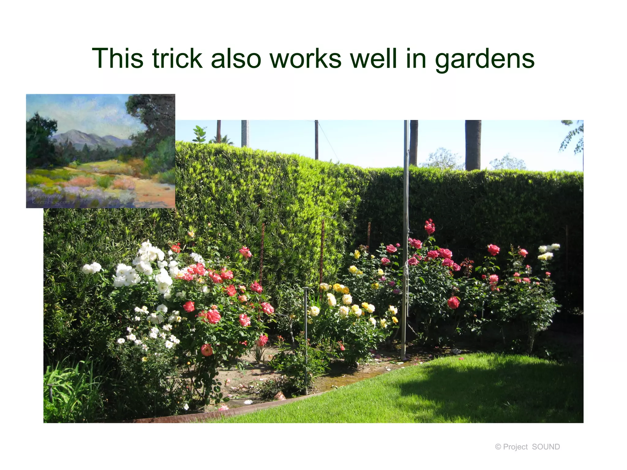 This trick also works well in gardens
© Project SOUND
 