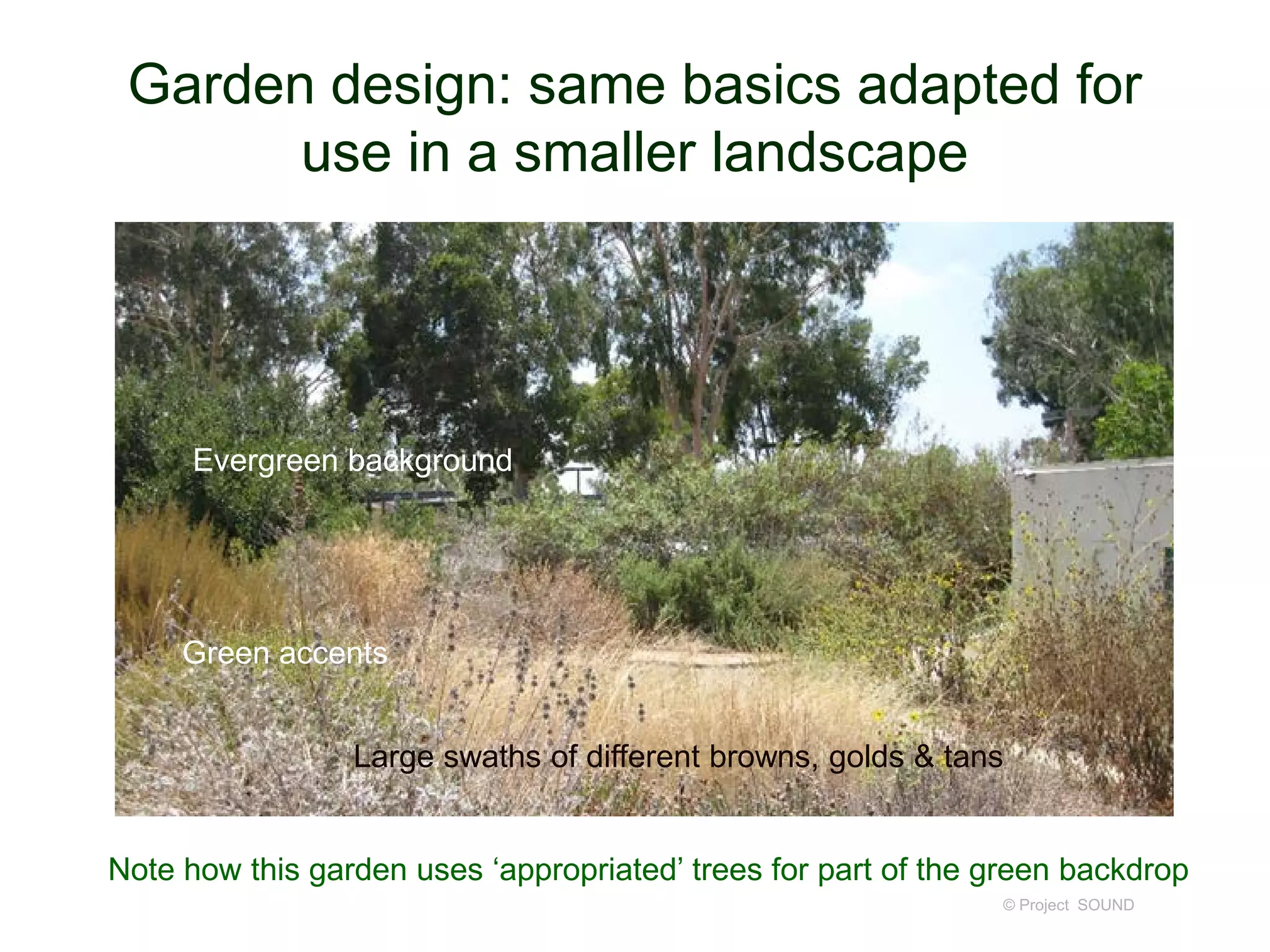 Garden design: same basics adapted for
use in a smaller landscape
© Project SOUND
Evergreen background
Green accents
Large swaths of different browns, golds & tans
Note how this garden uses ‘appropriated’ trees for part of the green backdrop
 