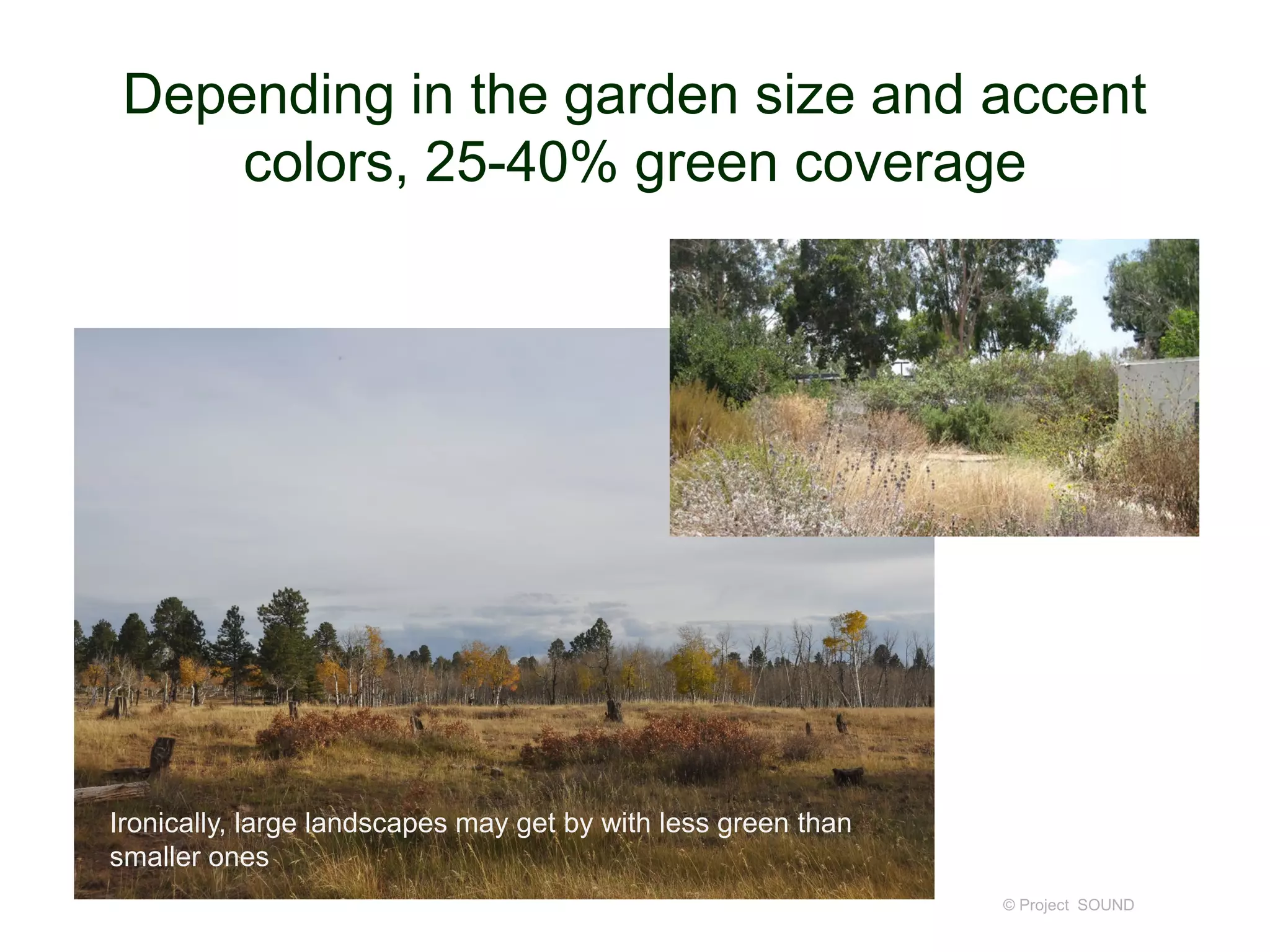 Depending in the garden size and accent
colors, 25-40% green coverage
© Project SOUND
Ironically, large landscapes may get by with less green than
smaller ones
 