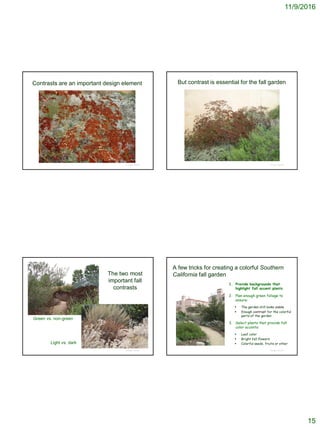11/9/2016
15
Contrasts are an important design element
© Project SOUND
But contrast is essential for the fall garden
© Project SOUND
The two most
important fall
contrasts
© Project SOUND
Green vs. non-green
Light vs. dark
A few tricks for creating a colorful Southern
California fall garden
1. Provide backgrounds that
highlight fall accent plants
2. Plan enough green foliage to
ensure:
 The garden still looks viable
 Enough contrast for the colorful
parts of the garden
3. Select plants that provide fall
color accents:
 Leaf color
 Bright fall flowers
 Colorful seeds, fruits or other
© Project SOUND
 