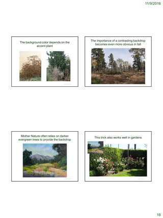 11/9/2016
16
The background color depends on the
accent plant
© Project SOUND
The importance of a contrasting backdrop
becomes even more obvious in fall
© Project SOUND
Mother Nature often relies on darker
evergreen trees to provide the backdrop
© Project SOUND
This trick also works well in gardens
© Project SOUND
 