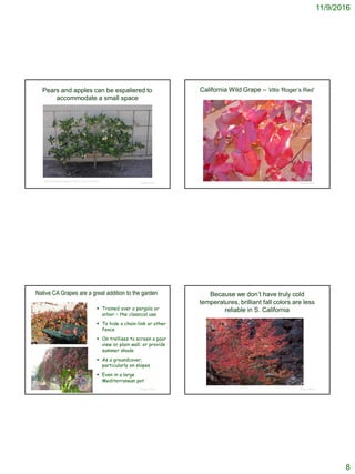 11/9/2016
8
Pears and apples can be espaliered to
accommodate a small space
© Project SOUND
http://arizonatraveler.blogspot.com/2011_05_01_archive.html
© Project SOUND
California Wild Grape – Vitis ‘Roger’s Red’
© Project SOUND
Native CA Grapes are a great addition to the garden
 Trained over a pergola or
arbor – the classical use
 To hide a chain-link or other
fence
 On trellises to screen a poor
view or plain wall; or provide
summer shade
 As a groundcover,
particularly on slopes
 Even in a large
Mediterranean pot
Because we don’t have truly cold
temperatures, brilliant fall colors are less
reliable in S. California
© Project SOUND
 