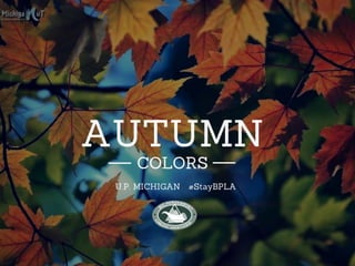Autumn Colors in the U.P.