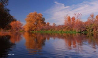 Boise River
 