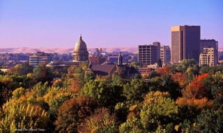Boise, The City of Trees
 