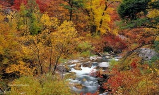 Snake River Mountains
 