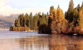 Coeur d’Alene
 