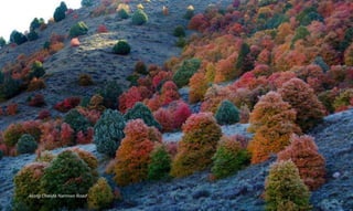 Along Oneida Narrows Road
 