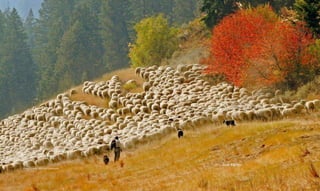 Sun Valley
Photo Credit: Michael Edminster
 