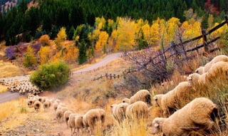 Photo Credit: Michael Edminster
 