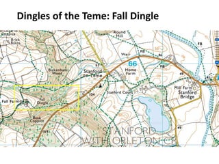 Dingles of the Teme: Fall Dingle
 