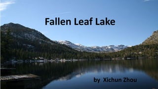 Fallen Leaf Lake
by Xichun Zhou
 