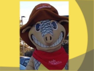 Fall festival 2014 slideshow