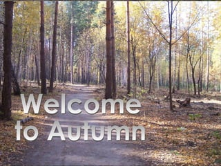 Welcome to Autumn 