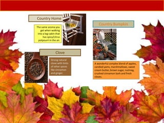 A wonderful complex blend of apples,
candied yams, marshmallows, sweet
cream butter, brown sugar, nutmeg,
crushed cinnamon bark and fresh
cloves.
Country Bumpkin
The same aroma you
get when walking
into a log cabin that
has spicy/citrus
potpourri in the air.
Country Home
Strong natural
clove with hints
of other spices
like cinnamon
and ginger.
Clove
 