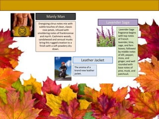 Lavender Sage
fragrance begins
with top notes
of French
lavender, lime,
sage, and fern
leaves; followed
by middle notes
of dill, pepper,
moss, and
ginger; and well
rounded with
base notes of
pine, musk, and
patchouli.
Lavender Sage
The aroma of a
brand new leather
jacket.
Leather Jacket
Energizing citrus notes mix with
subtle touches of clean, classic
rose petals, infused with
smoldering notes of frankincense
and myrrh. Cashmere woods,
sandalwood and sensual musks
bring this rugged creation to a
finish with a soft powdery dry
down.
Manly Man
 