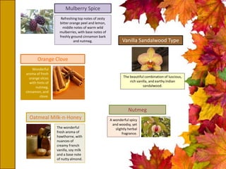 Refreshing top notes of zesty
bitter orange peel and lemon,
middle notes of warm wild
mulberries, with base notes of
freshly ground cinnamon bark
and nutmeg.
Mulberry Spice
The beautiful combination of luscious,
rich vanilla, and earthy Indian
sandalwood.
Vanilla Sandalwood Type
Wonderful
aroma of fresh
orange slices
with hints of
nutmeg,
cinnamon, and
clove.
Orange Clove
Nutmeg
A wonderful spicy
and woodsy, yet
slightly herbal
fragrance.
The wonderful
fresh aroma of
hawthorne, with
nuances of
creamy French
vanilla, soy milk
and a base note
of nutty almond.
Oatmeal Milk-n-Honey
 