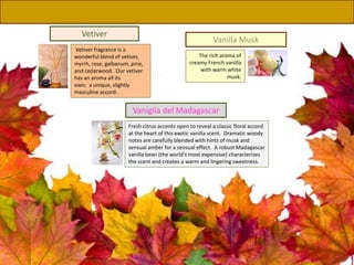 Vetiver
Vetiver fragrance is a
wonderful blend of vetiver,
myrrh, rose, galbanum, pine,
and cedarwood. Our vetiver
has an aroma all its
own; a unique, slightly
masculine accord.
Vaniglia del Madagascar
Fresh citrus accents open to reveal a classic floral accord
at the heart of this exotic vanilla scent. Dramatic woody
notes are carefully blended with hints of musk and
sensual amber for a sensual effect. A robust Madagascar
vanilla bean (the world's most expensive) characterizes
the scent and creates a warm and lingering sweetness.
The rich aroma of
creamy French vanilla
with warm white
musk.
Vanilla Musk
 