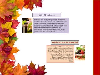 An amazingly well balanced fragrance
accord with top notes of Clementine,
Grapefruit, and Black Berries; middle
notes of Wild Fig, Black Currant, and
Passion Fruit; all surrounded with
base notes of Precious Woods,
Sandalwood, Vanilla, and Metallic
Musk.
Wild Currant Sandalwood
Wild Elderberry
Delicious and fruity; a fragrance to make your
mouth water with notes of tart, wild elderberries
and huckleberries, combined with the sweet
nectar of peach and apricot. A floral woody heart
of violet and white florals, wrapped in a
sandalwood base balances the natural, fruity
goodness of this yummy blend.
 